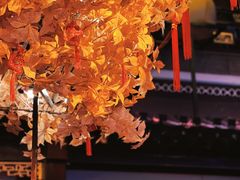 -豫园