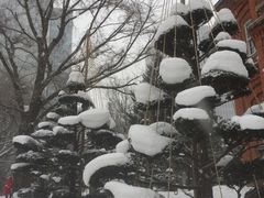 -北海道厅旧本厅舍(旧本庁舎)