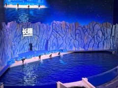 -珠海长隆海洋王国