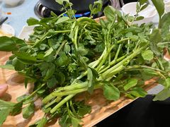 -烹然四季椰子鸡火锅(团结湖总店)