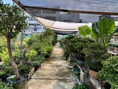 -双季花艺园艺市场(浦东店)