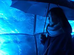 -海德公园