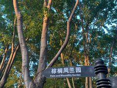 -郑州植物园
