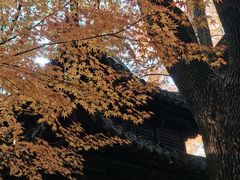 -汇龙潭