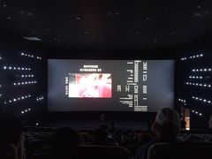 -深影国际影城(学院南路店CGS中国巨幕店)