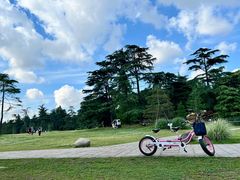 -上海共青森林公园