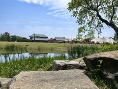 -西山漾湿地公园