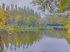 -东郊湿地公园
