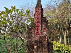 -王借岗森林公园