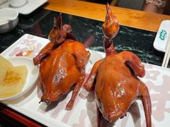 红烧乳鸽-大鸽饭(北京路店)