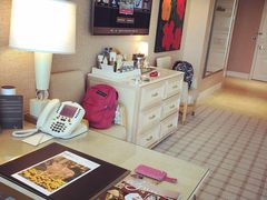 -拉斯维加斯永利酒店