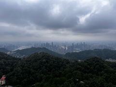 -大金鹰园