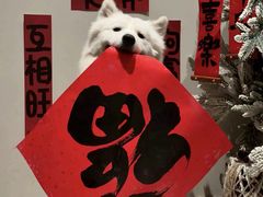 -季念日口口香艺术生日蛋糕(大名县店)