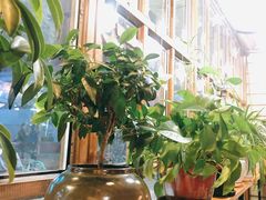 -Cafe Alice咖啡爱丽丝(奥城店)