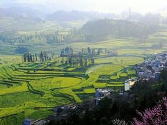 -牛街螺丝田