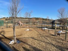 -鄂尔多斯野生动物园