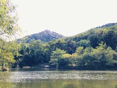 -鲁山国家森林公园