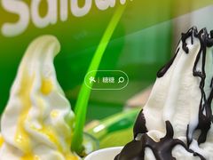 -Salud撒露欧洲冻酸奶(蓝色港湾店)