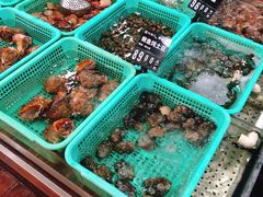 -浩运·海鲜青岛菜·海胆水饺(石老人店)