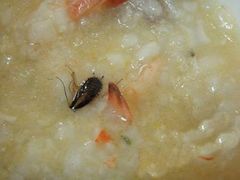 -廣味潮鲜·一品潮滋味(五道口店)