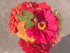 -SFC上影影城(淞南店)