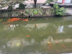 -浙江省博物馆(孤山馆区)