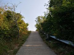 -南丫岛