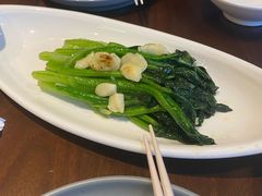 白灼菜心-千日贺茶餐厅(高新万达店)