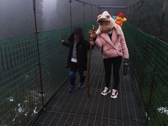 -九峰山