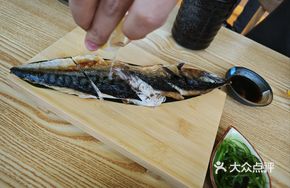 Fatty Saury