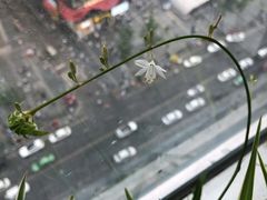 -帝京日语(春熙路旗舰校区)