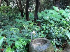 -黄埔荔枝公园