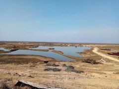 -鄱阳湖国家湿地公园