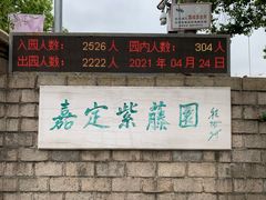 -嘉定紫藤园