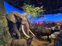 -重庆自然博物馆(新馆)