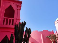 -漳州滨海火山岛自然生态风景区