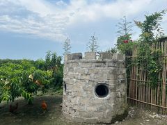 -樂桃源奉贤黄桃种植采摘基地