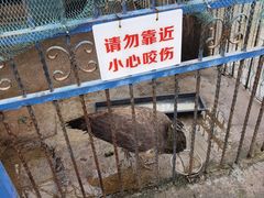 -上海佘山世茂艾美酒店