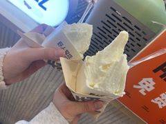-野人先生现做冰淇淋(西安赛格店)