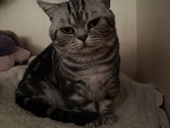 -快乐街区(长沙方圆荟店)