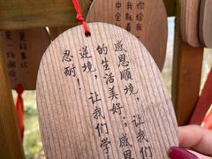 -黄龙溪欢乐田园
