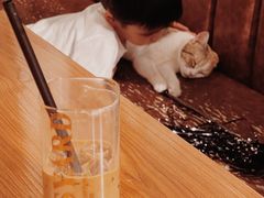 -猫小院猫主题餐厅(三里屯店)