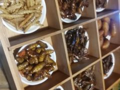 -昆虫窝子·特色云南菜(拓东路总店)