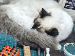-重庆熙街