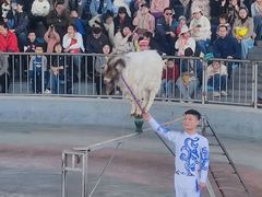 -石家庄市动物园