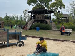 -上海长兴岛郊野公园