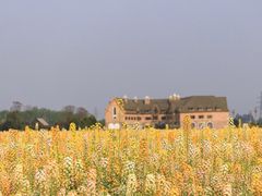 -中国天府农业博览园