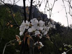 -濂泉响谷