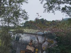 -东部华侨城