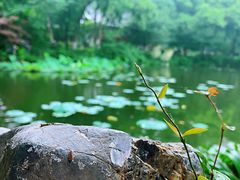 -浙江西子宾馆·牡丹厅